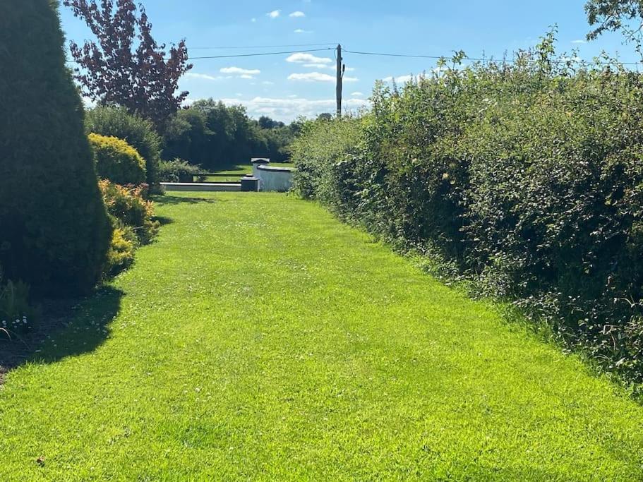 Adorable Cabin In The Countryside Port Laoise Exterior foto
